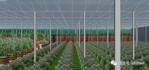 現(xiàn)代農業(yè)玻璃溫室的設計要點與科技應用